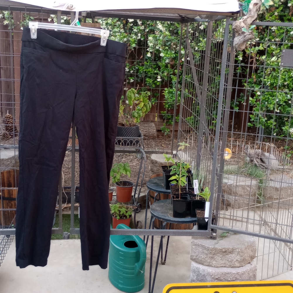 Briggs New York Women's Black Straight Leg Pants